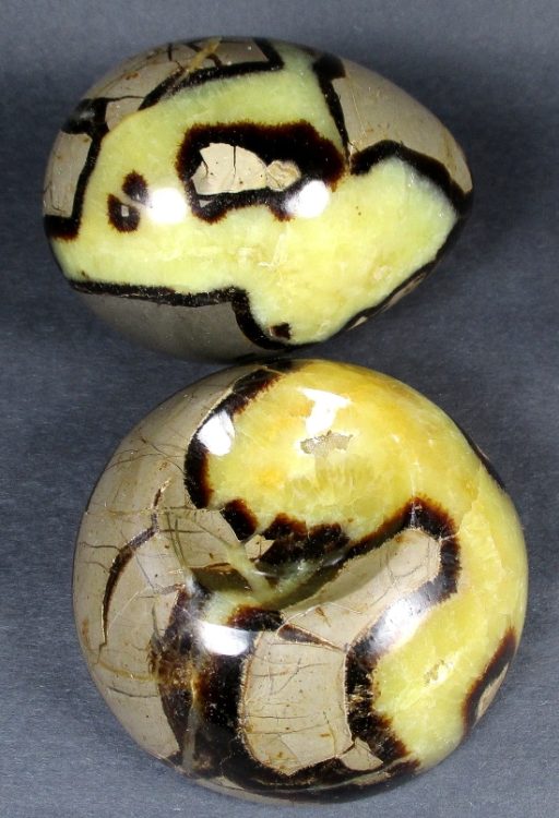 Septarian Egg with Stand