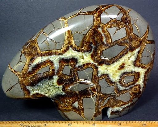 Yellow and Brown Bear carved from a Utah Septarian Nodule