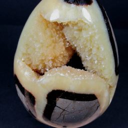 Septarian Egg