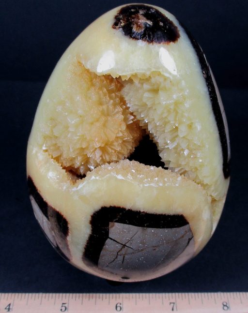 Septarian Egg