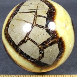 Septarian Sphere