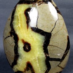 Septarian Free Form