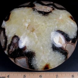 Septarian Disc