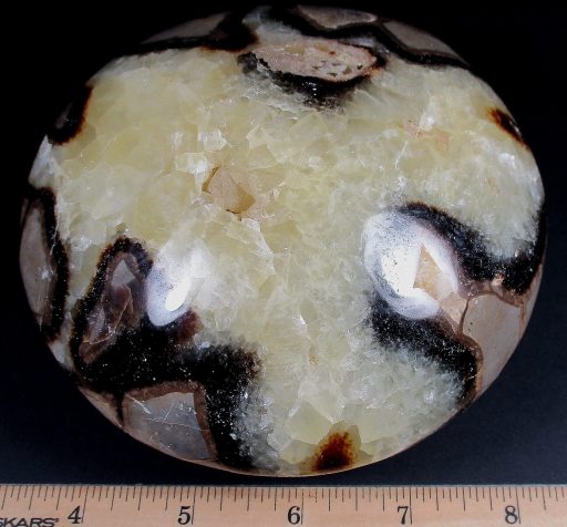 Septarian Disc