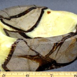 Septarian Heart Bowl