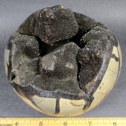 Septarian Sphere