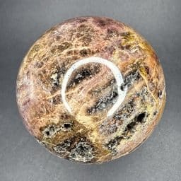 Petrified Wood