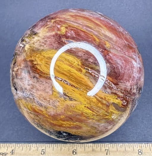 SP107 Petrified Wood - Image 3