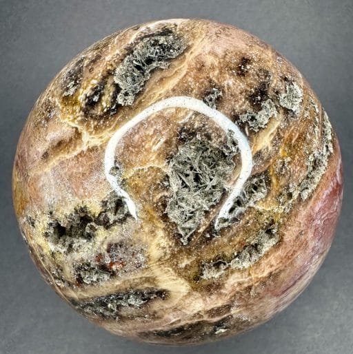 SP107 Petrified Wood - Image 7