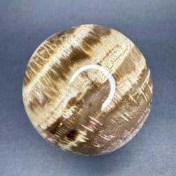 Petrified Wood