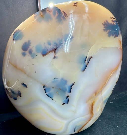 Black Skin Agate Freeform