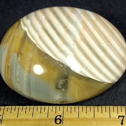 Ribbon Poly Chrome Jasper