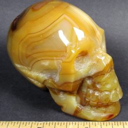 Carnelian Agate Skull