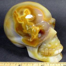 Carnelian Agate Skull