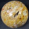 SP1022 Brecciated Jasper - Image 2