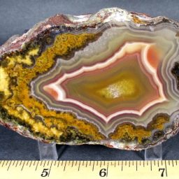 Laguna Agate