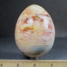 EGG710 Polychrome Jasper