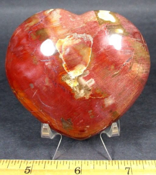 Petrified Wood