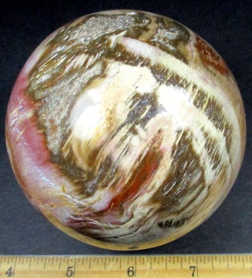 Petrified Wood