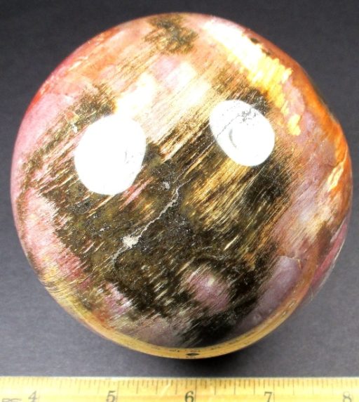 Petrified Wood