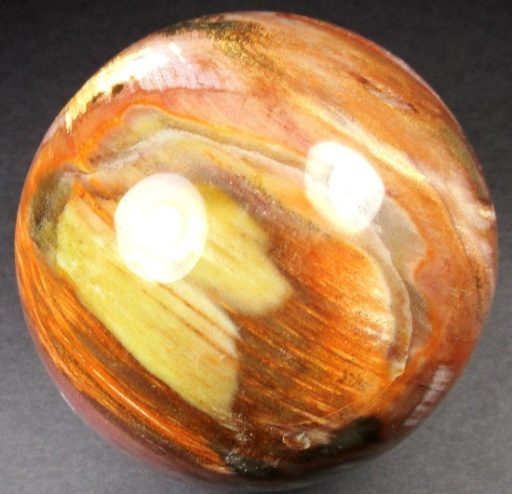 Petrified Wood