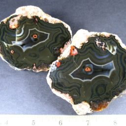 Turkey Agate