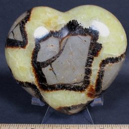 Septarian Heart