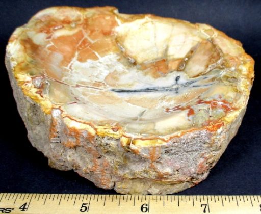 Madagascar Petrified Wood Bowl