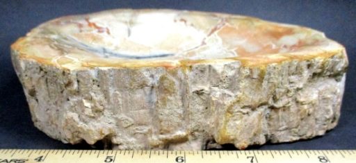 Madagascar Petrified Wood Bowl