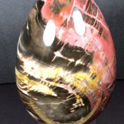 PETRIFIED WOOD EGG