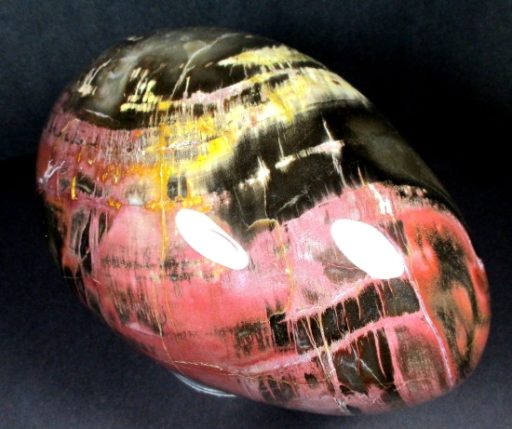 PETRIFIED WOOD EGG