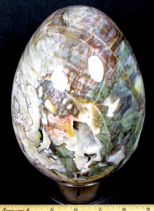 PETRIFIED WOOD EGG