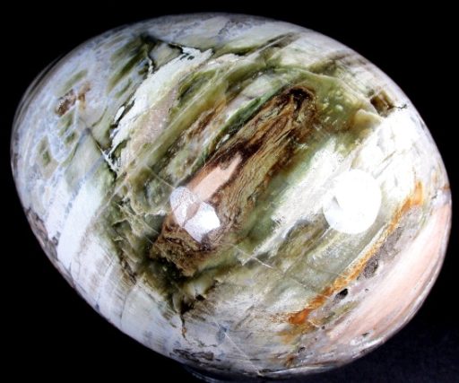 PETRIFIED WOOD EGG