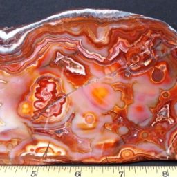 Mexican Lace Agate