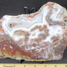 Mexican Lace Agate