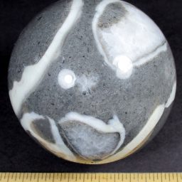 Fossil Shell Marble