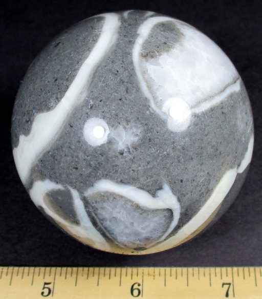 Fossil Shell Marble