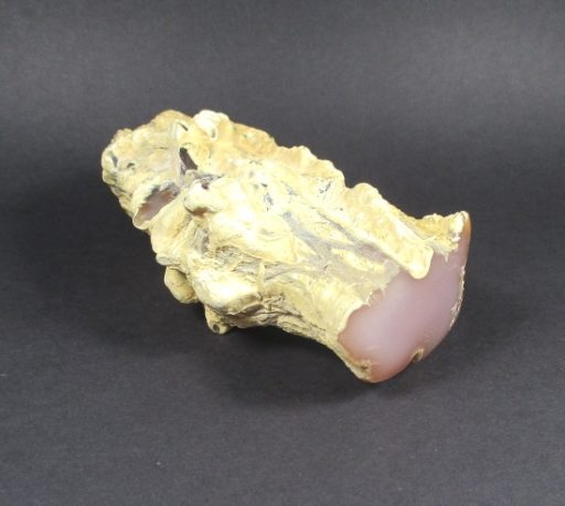 NEVADA PINK PETRIFIED WOOD LIMB