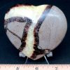 Septarian