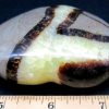 H508 Septarian - Image 3
