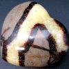 H508 Septarian - Image 5