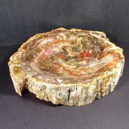 Madagascar Petrified Wood Bowl