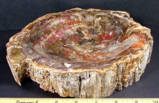 Madagascar Petrified Wood Bowl