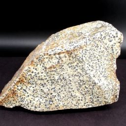 Dalmatian Stone