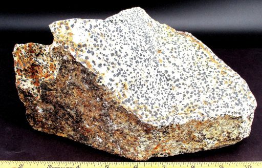 Dalmatian Stone