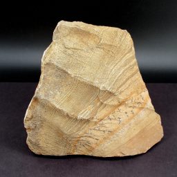 Picture Jasper