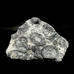 Orbicular Granite