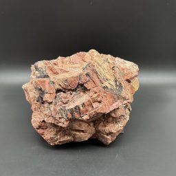 Arizona Petrified Wood