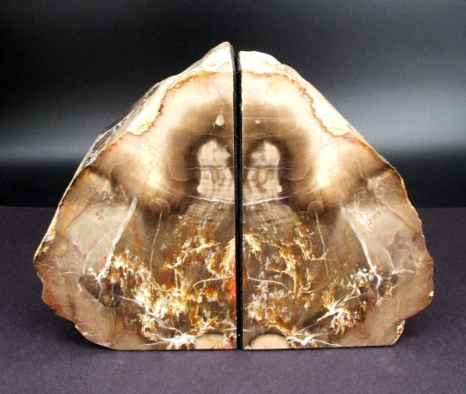 Petrified Wood Bookends