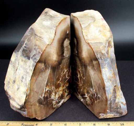 Petrified Wood Bookends